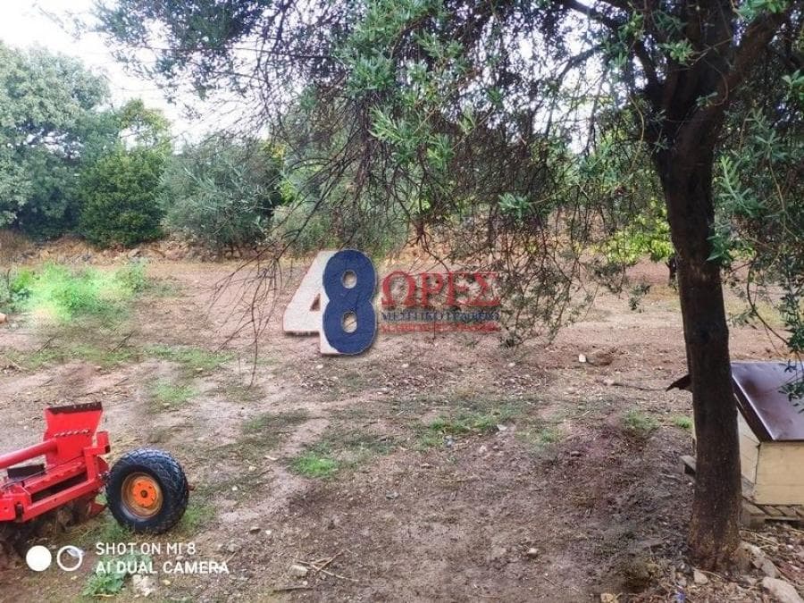 House in Agios Minas, Chios — Photo 24 of 25