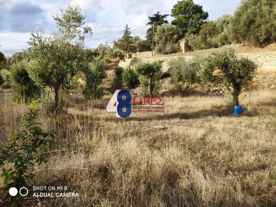 Building Plot in Agios Minas, Chios — Photo 13 of 20
