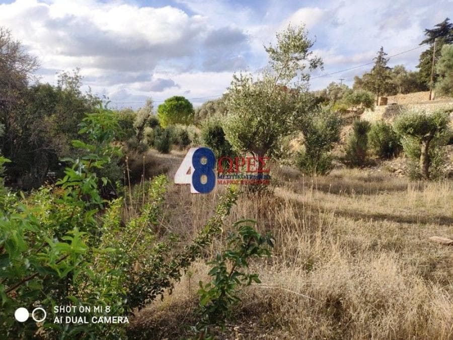 Building Plot in Agios Minas, Chios — Photo 14 of 20