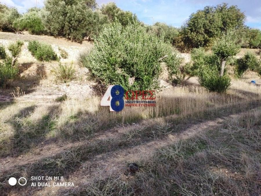Building Plot in Agios Minas, Chios — Photo 16 of 20