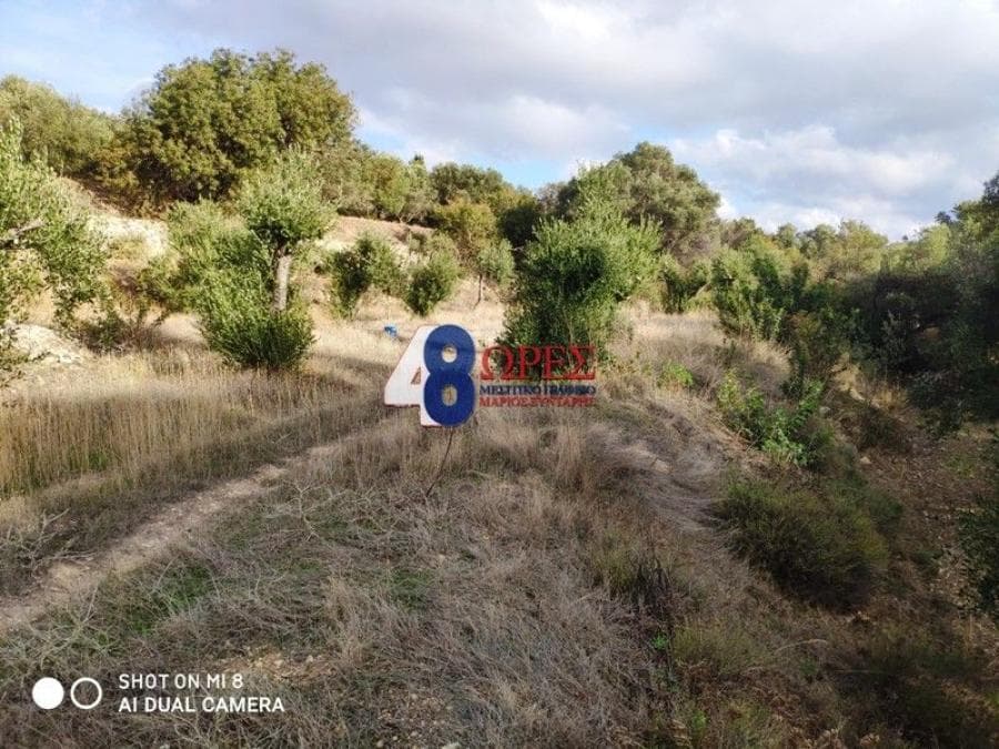 Building Plot in Agios Minas, Chios — Photo 17 of 20