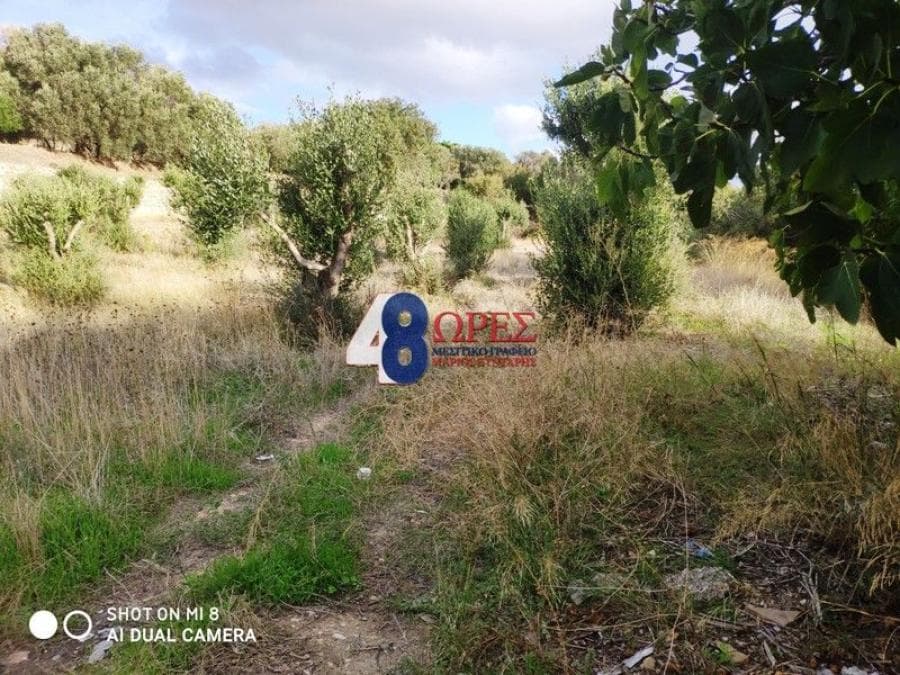 Building Plot in Agios Minas, Chios — Photo 18 of 20