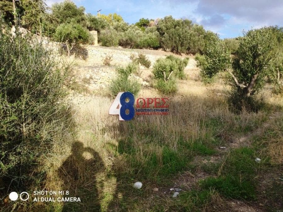 Building Plot in Agios Minas, Chios — Photo 19 of 20