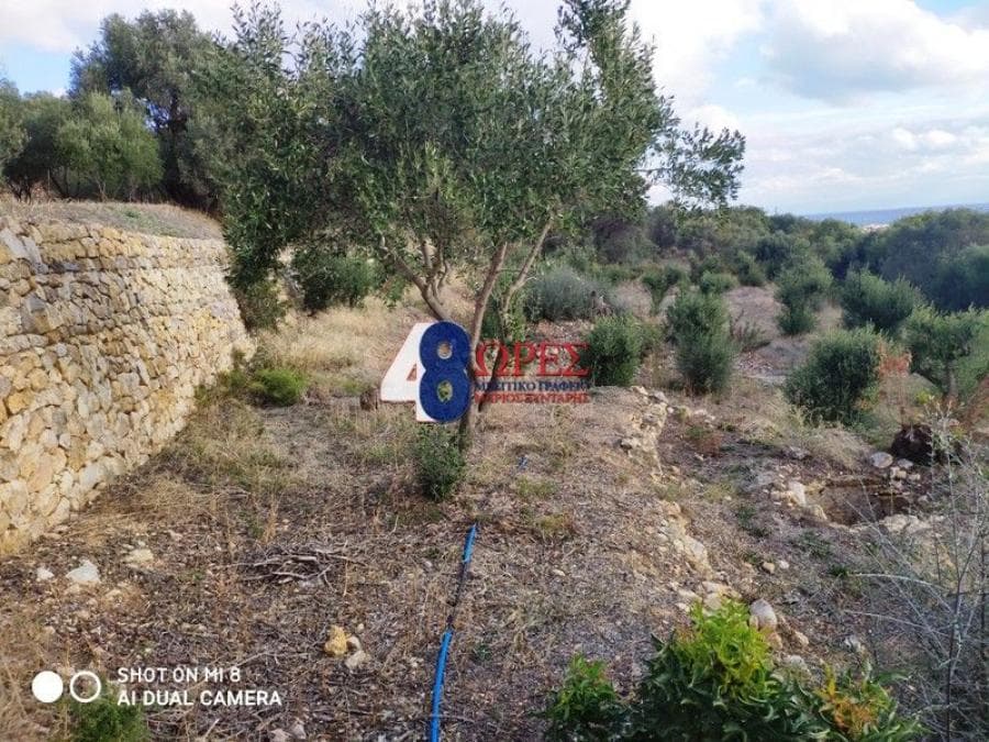 Building Plot in Agios Minas, Chios — Photo 3 of 20