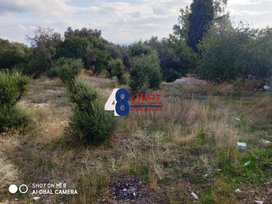 Building Plot in Agios Minas, Chios — Photo 4 of 20