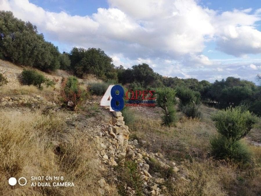 Building Plot in Agios Minas, Chios — Photo 6 of 20