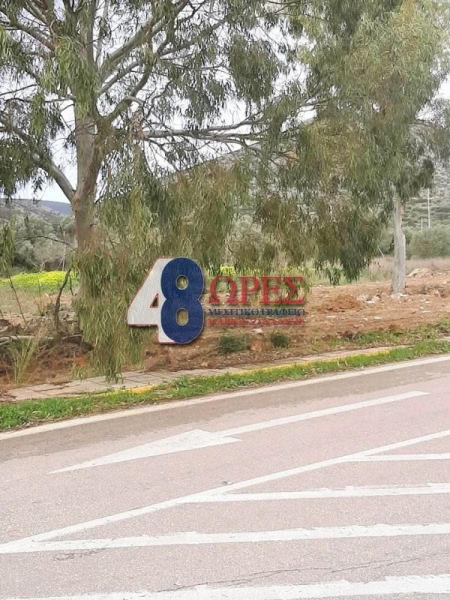 Building Plot in Ionia, Chios — Photo 12 of 13