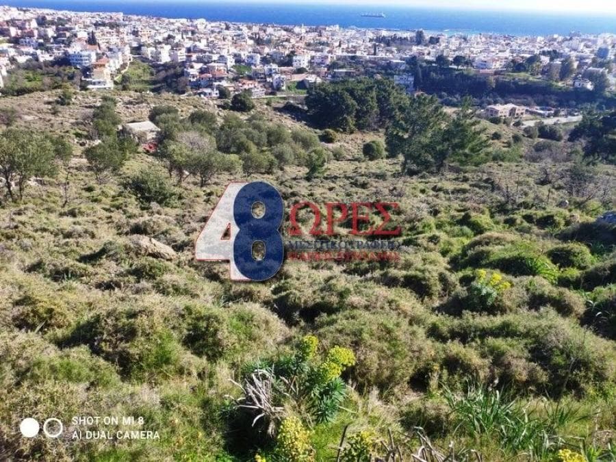 Parcel in Chios town, Chios — Photo 6 of 12