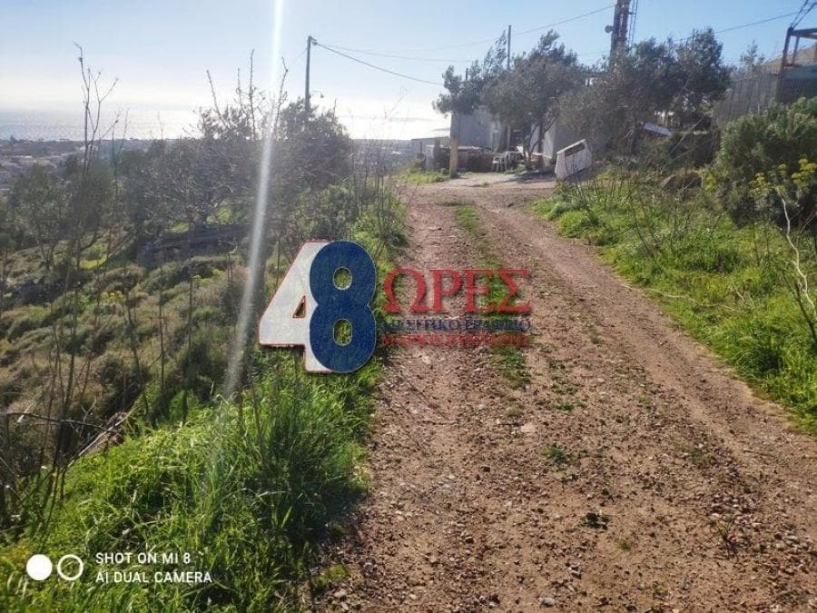 Parcel in Chios town, Chios — Photo 7 of 12