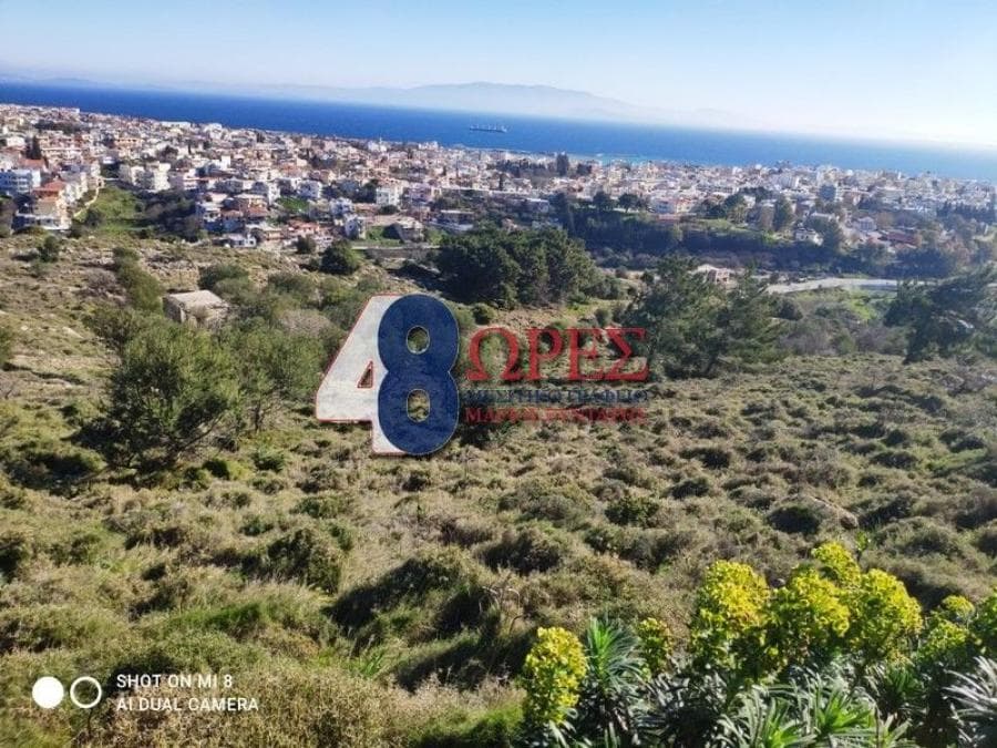 Parcel in Chios town, Chios — Photo 9 of 12