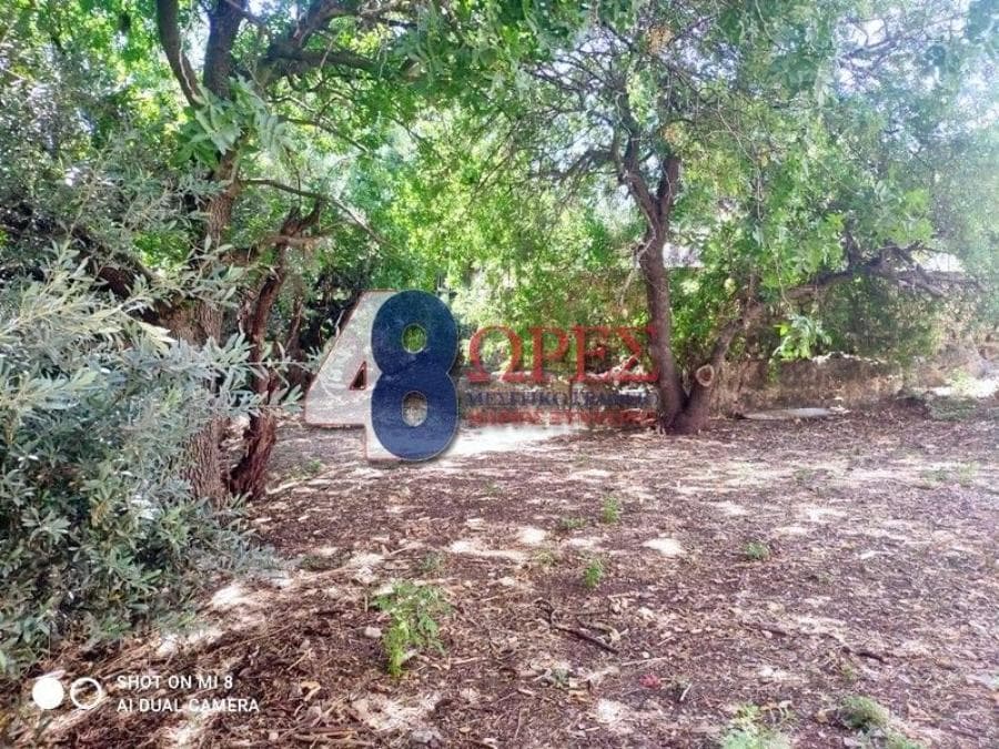 Οικόπεδο στην Πόλη Χίου, Χίος — Φωτογραφία 11 από 13