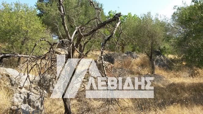Οικόπεδο στην Πόλη Χίου, Χίος — Φωτογραφία 4 από 4