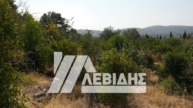 Οικόπεδο στην Πόλη Χίου, Χίος — Φωτογραφία 3 από 4
