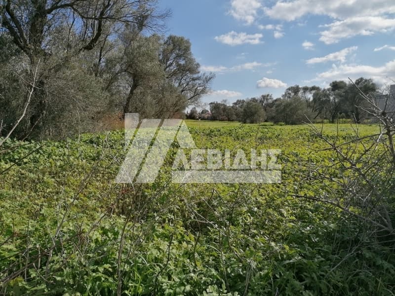 Οικόπεδο στην Άγιος Μηνάς, Χίος — Φωτογραφία 4 από 8