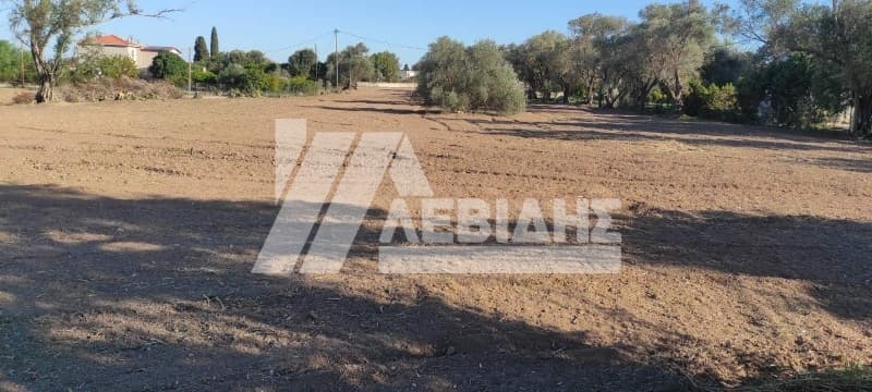 Οικόπεδο στην Άγιος Μηνάς, Χίος — Φωτογραφία 5 από 8