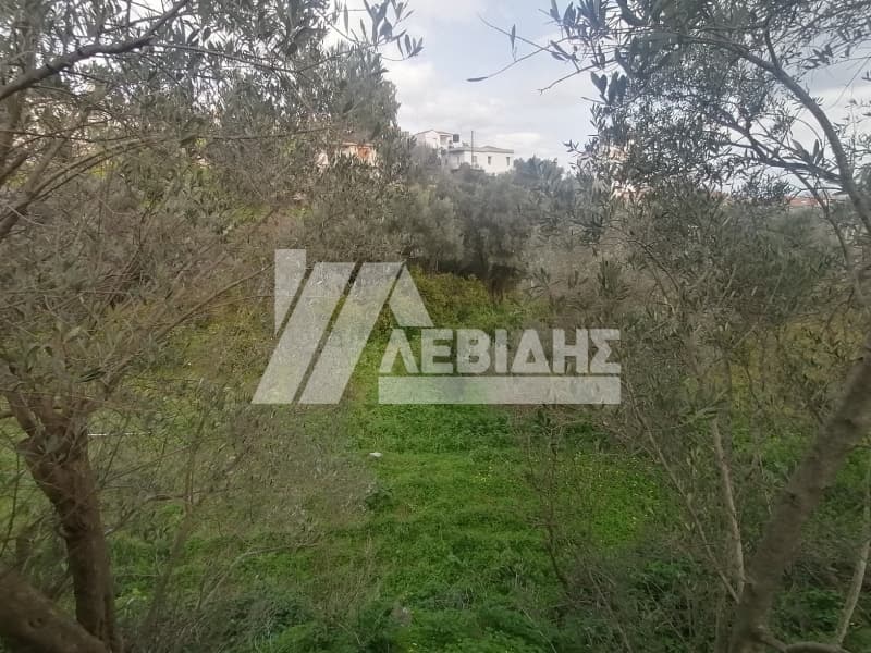Οικόπεδο στην Πόλη Χίου, Χίος — Φωτογραφία 2 από 2