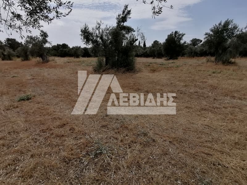 Οικόπεδο στην Άγιος Μηνάς, Χίος — Φωτογραφία 2 από 6