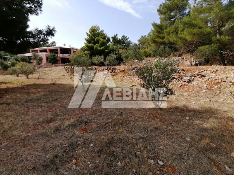Οικόπεδο στην Άγιος Μηνάς, Χίος — Φωτογραφία 6 από 6