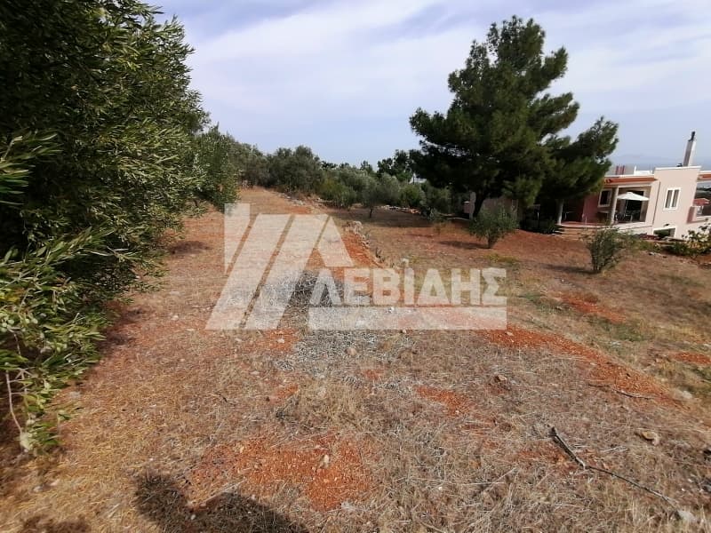 Οικόπεδο στην Άγιος Μηνάς, Χίος — Φωτογραφία 4 από 6