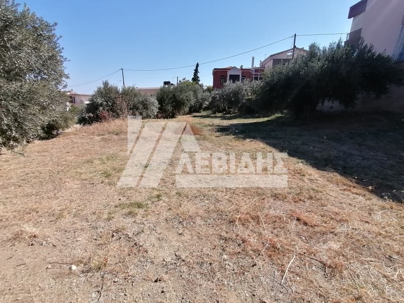 Οικόπεδο στην Πόλη Χίου, Χίος — Φωτογραφία 4 από 5
