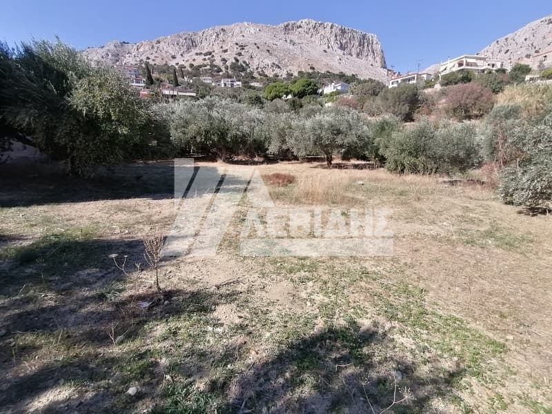 Οικόπεδο στην Πόλη Χίου, Χίος — Φωτογραφία 3 από 5