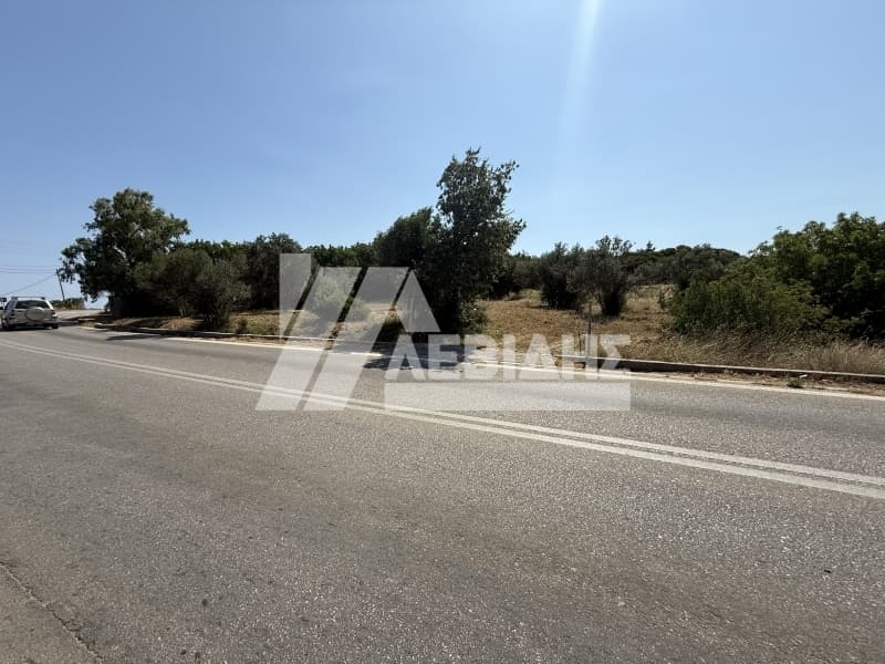 Οικόπεδο στην Άγιος Μηνάς, Χίος — Φωτογραφία 1 από 7