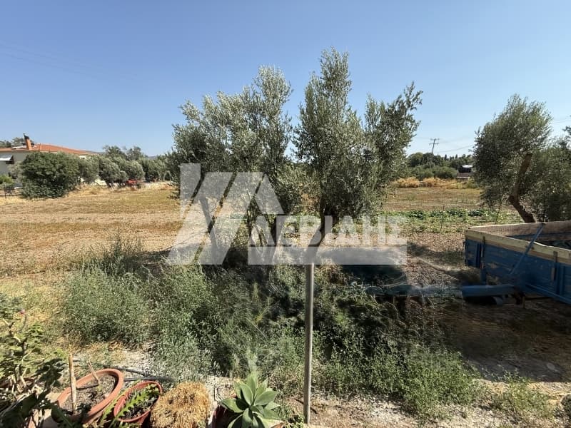 Οικόπεδο στην Άγιος Μηνάς, Χίος — Φωτογραφία 3 από 21