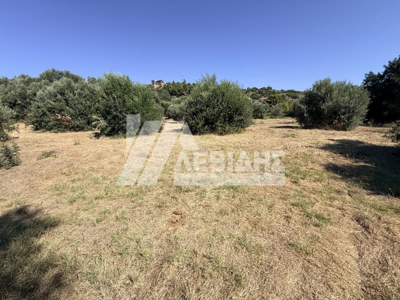 Οικόπεδο στην Άγιος Μηνάς, Χίος — Φωτογραφία 3 από 5