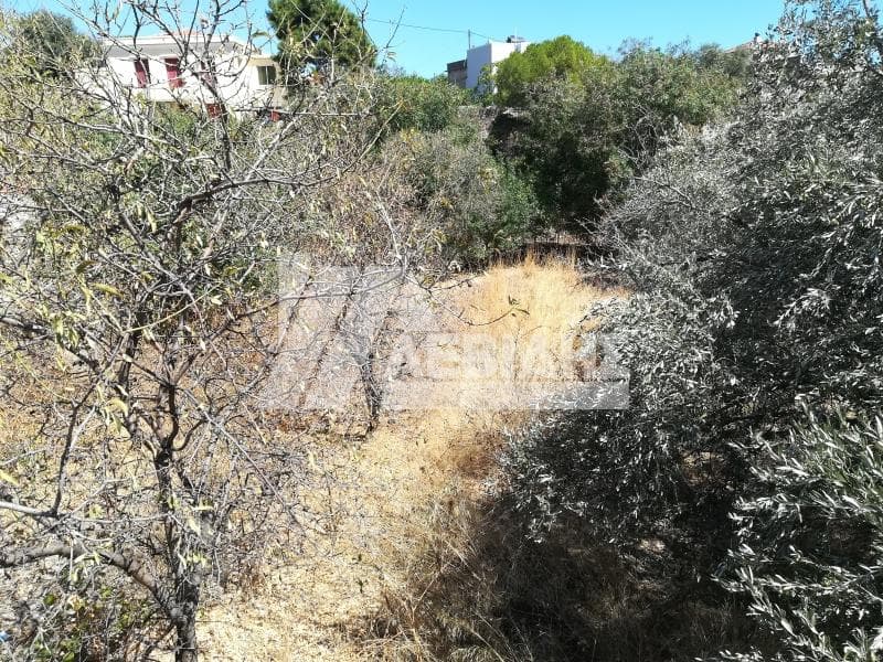 Οικόπεδο στην Πόλη Χίου, Χίος
