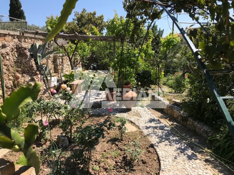 Μονοκατοικία στην Πόλη Χίου, Χίος — Φωτογραφία 24 από 30