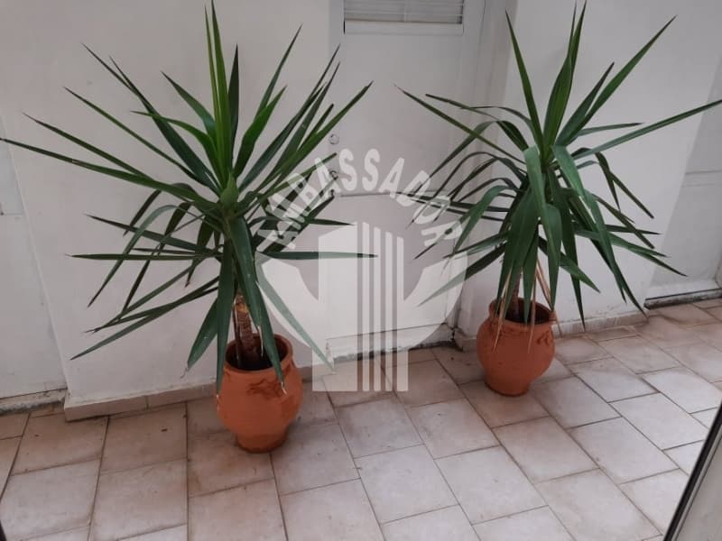 Διαμέρισμα στην Ακαδημία Πλάτωνος, Κολωνός - Κολοκυνθούς — Φωτογραφία 11 από 15