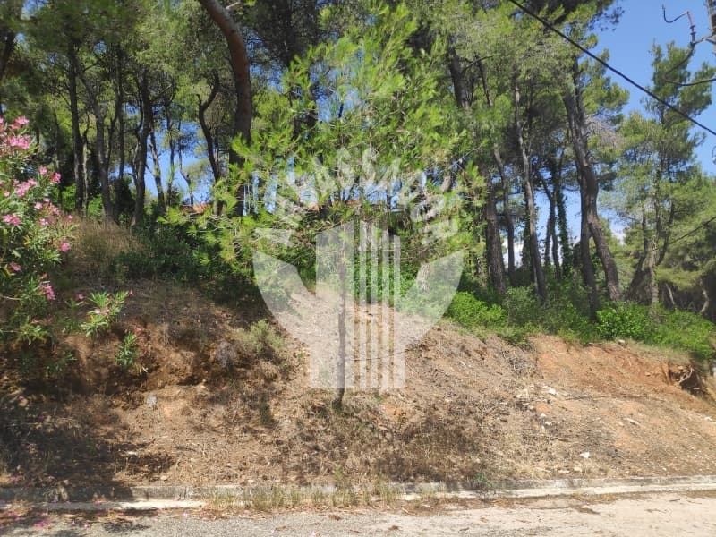 Οικόπεδο στην Αδάμες (Οικισμός Πελοποννησίων), Κηφισιά — Φωτογραφία 3 από 6