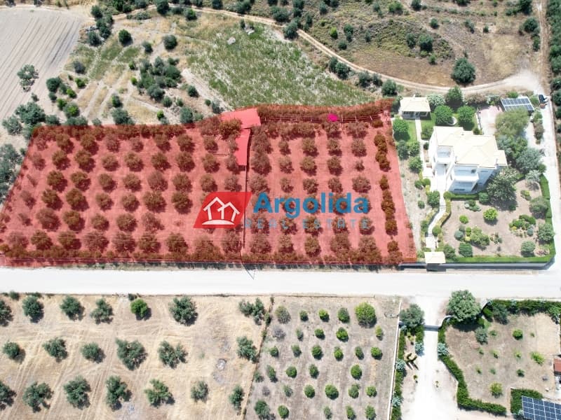 Μονοκατοικία στην Αρχαία Κόρινθος, Κόρινθος — Φωτογραφία 23 από 30