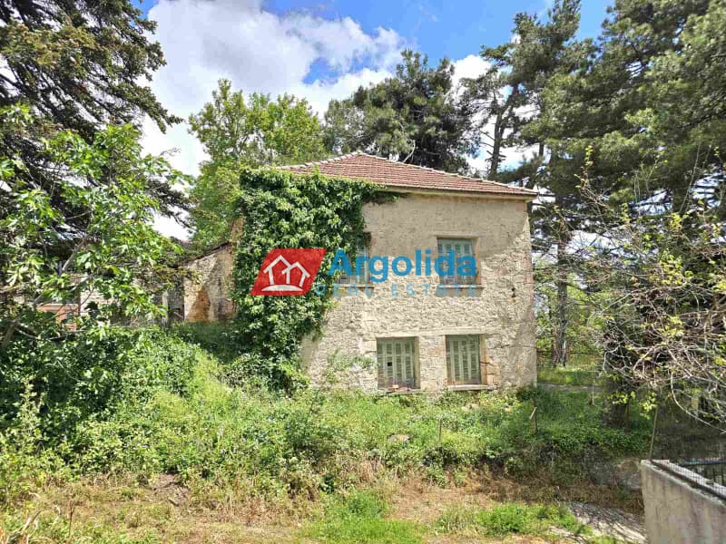 Μονοκατοικία στην Μέση Συνοικία Τρικάλων, Ευρωστίνη — Φωτογραφία 3 από 30