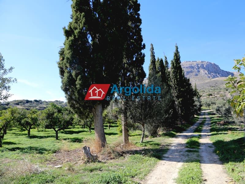 Μονοκατοικία στην Μπεκιάνικα, Κόρινθος — Φωτογραφία 29 από 30