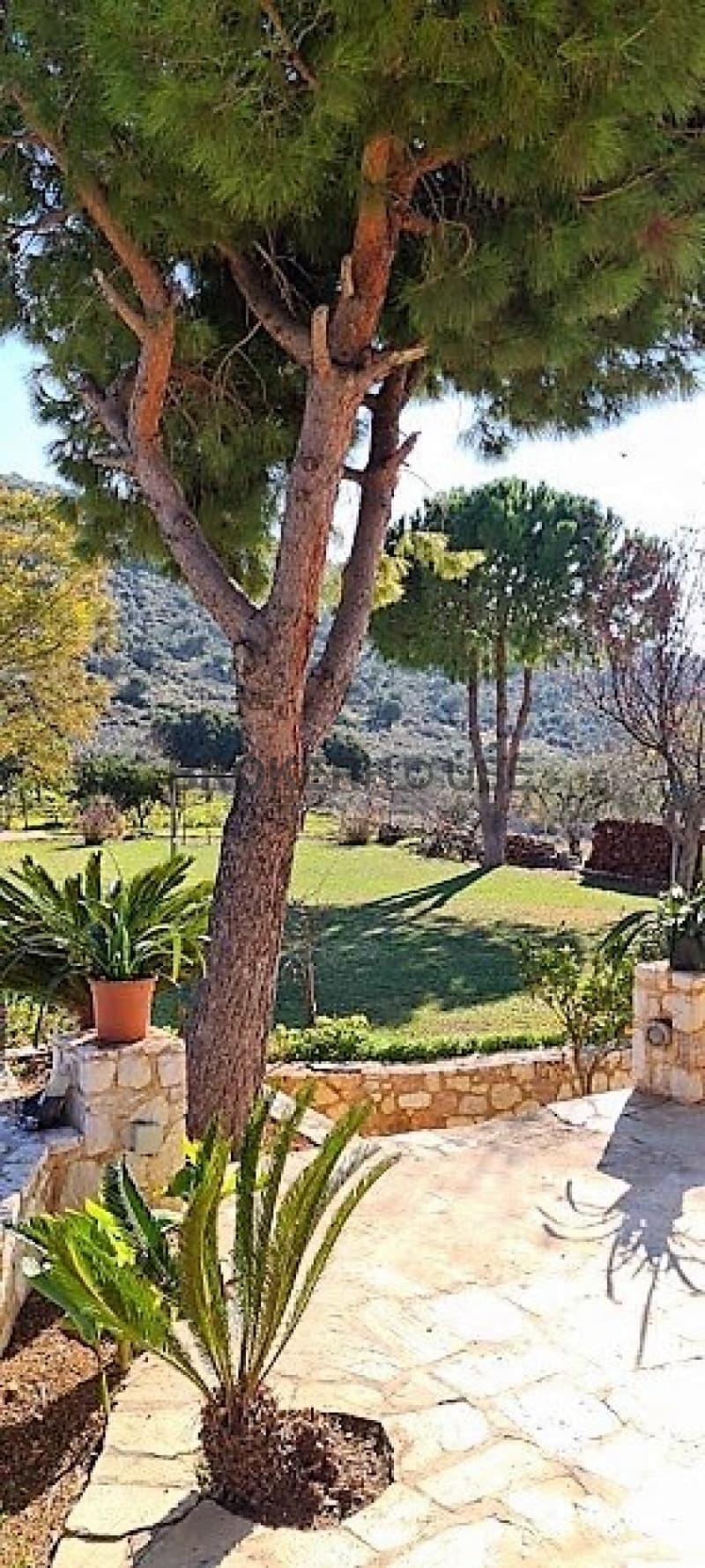 Μονοκατοικία στην Καλύβια, Καλύβια Θορικού — Φωτογραφία 28 από 31