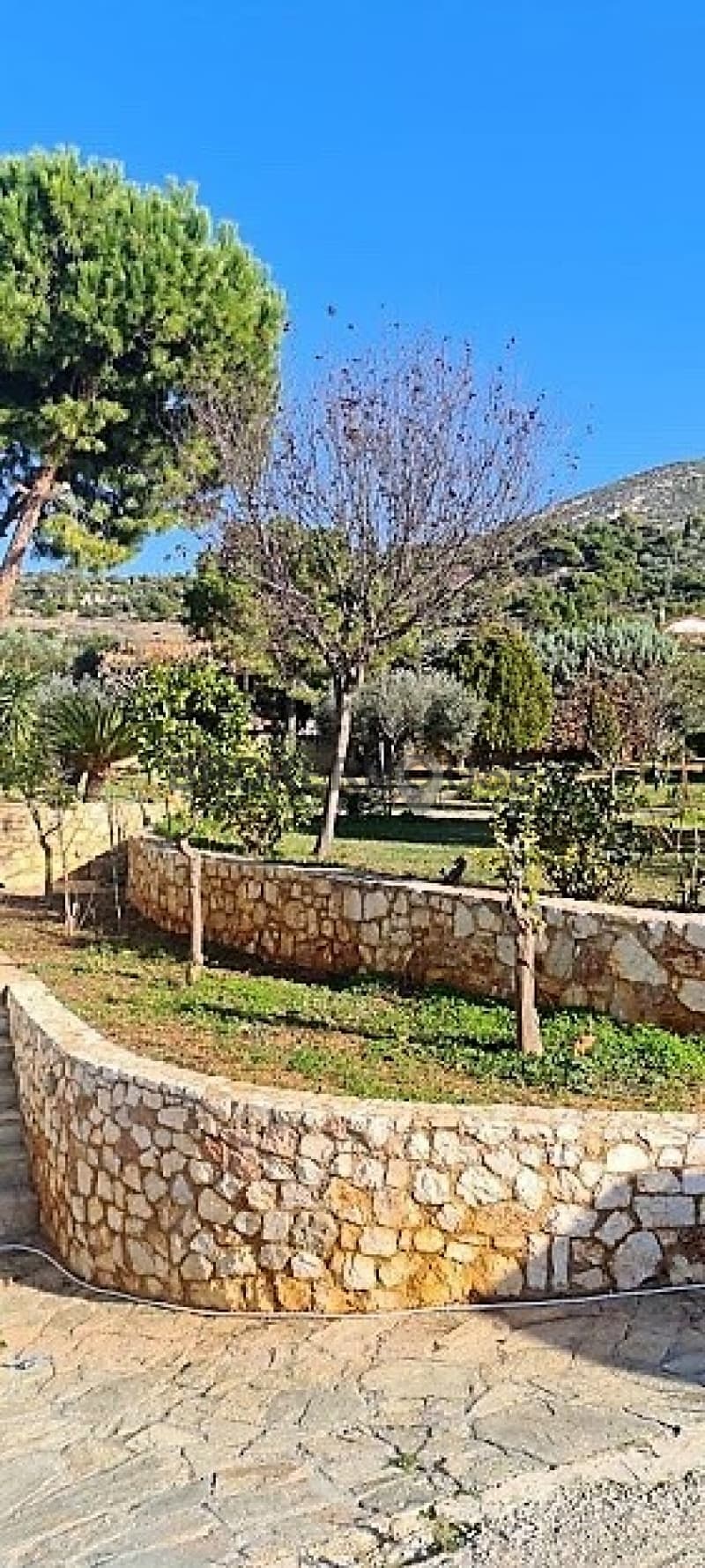 Μονοκατοικία στην Καλύβια, Καλύβια Θορικού — Φωτογραφία 29 από 31