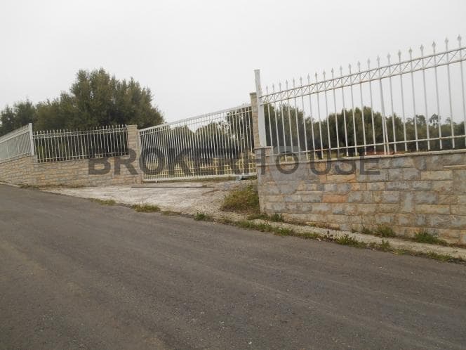 Αγροτεμάχιο στην Λαμπρικά, Κορωπί — Φωτογραφία 3 από 10