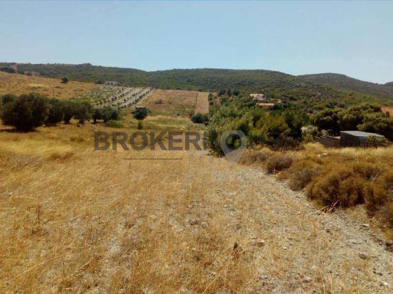 Parcel in Dimolaki, Anavissos — Photo 12 of 16