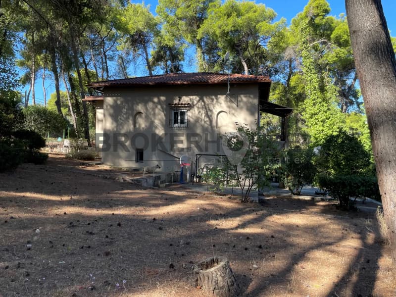 House in Kastritsa, Nea Erithraia — Photo 12 of 18