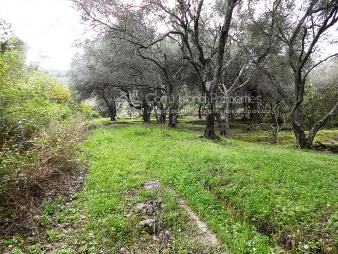 Οικόπεδο στην Βασιλάτικα, Κέρκυρα — Φωτογραφία 10 από 30