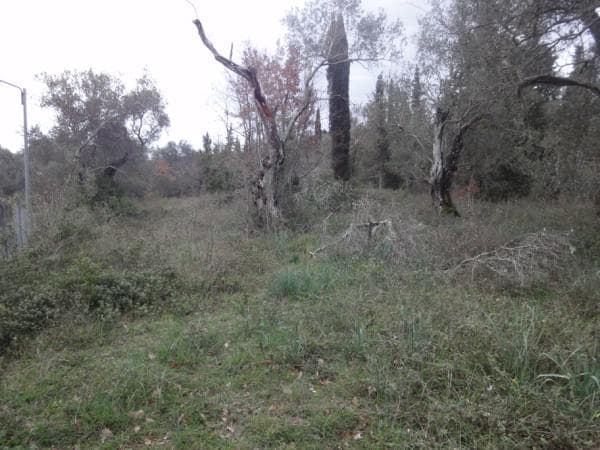 Building Plot in Faiakes, Corfu — Photo 1 of 4
