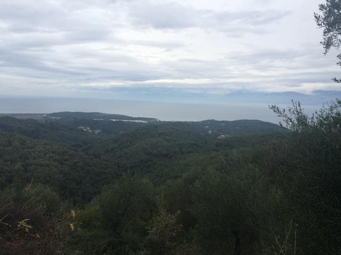 Οικόπεδο στην Κασσιόπη, Κέρκυρα — Φωτογραφία 15 από 30