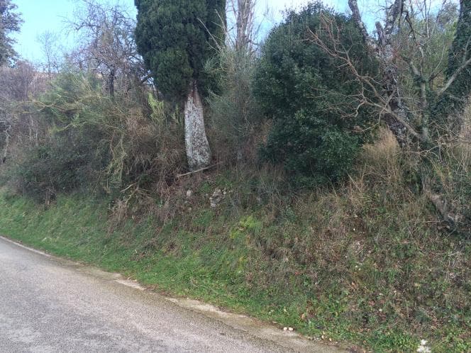 Οικόπεδο στην Κασσιόπη, Κέρκυρα — Φωτογραφία 13 από 30