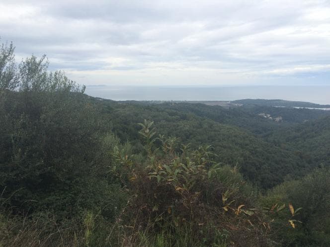 Οικόπεδο στην Κασσιόπη, Κέρκυρα — Φωτογραφία 25 από 30