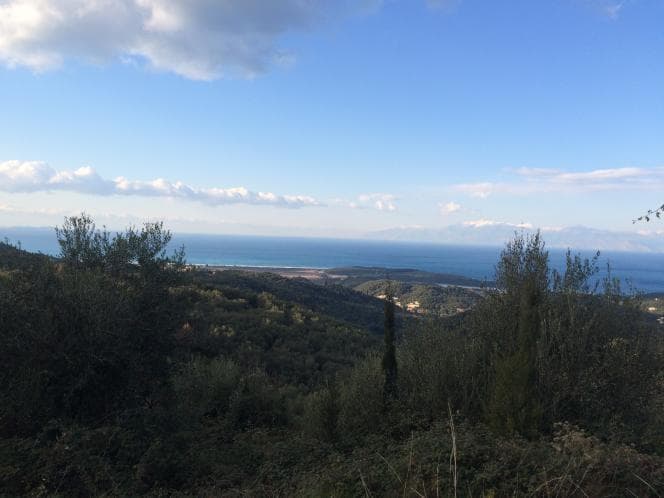 Οικόπεδο στην Κασσιόπη, Κέρκυρα — Φωτογραφία 10 από 24