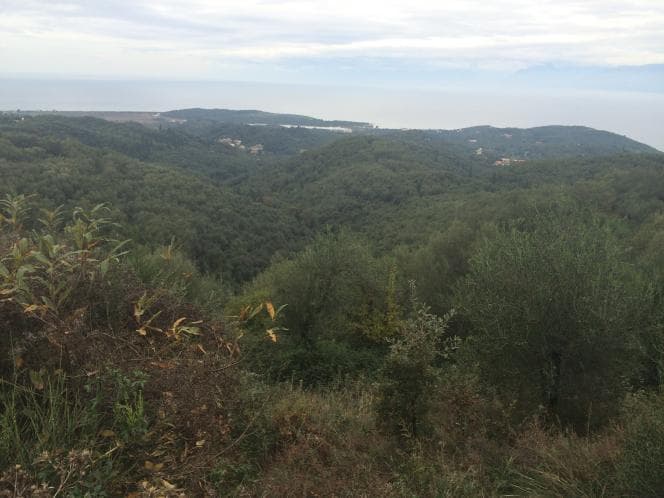 Οικόπεδο στην Κασσιόπη, Κέρκυρα — Φωτογραφία 20 από 24