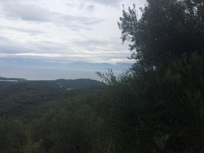 Οικόπεδο στην Κασσιόπη, Κέρκυρα — Φωτογραφία 16 από 24
