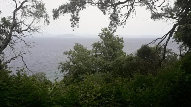 Οικόπεδο στην Αχίλλειο, Κέρκυρα — Φωτογραφία 20 από 30