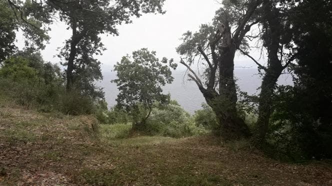 Οικόπεδο στην Αχίλλειο, Κέρκυρα — Φωτογραφία 21 από 30